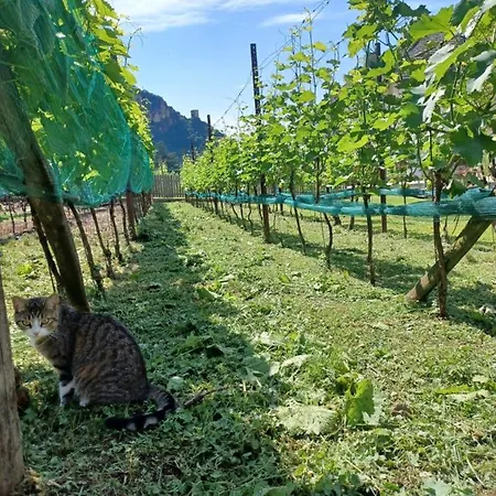 Das Landhaus Farm stay Terlano